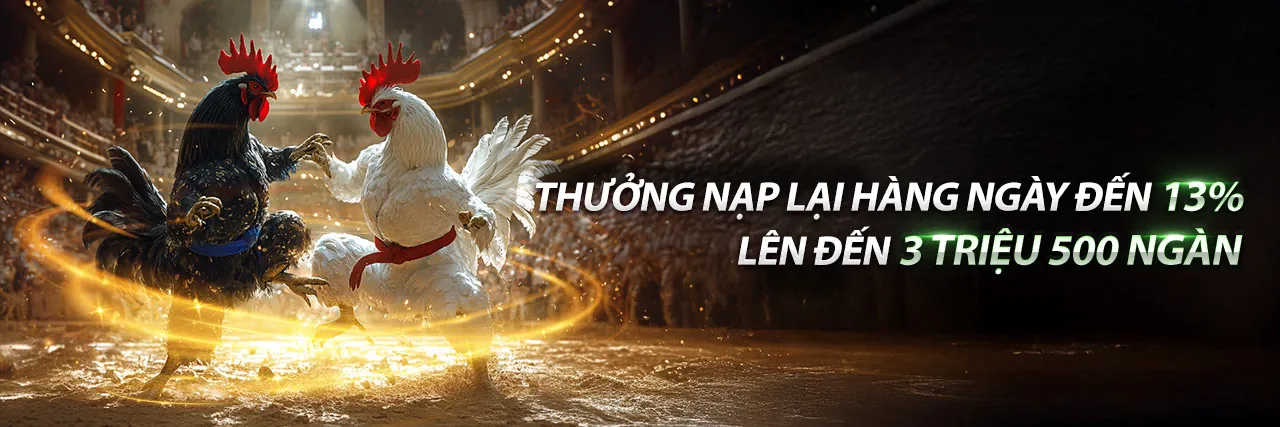 Cá cược thể thao sôi động tại sc889 nhà cái